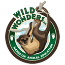 WILD WONDERS S.R.L.