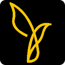 VIVAS INTERNATIONAL S.R.L.