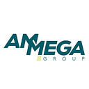 AMMEGA BELTING ROMANIA S.R.L.