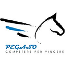 PEGASO INGEGNERIA SRL MILANO SUCURSALA BUCURESTI