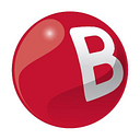 BRAITHWAITE S.R.L.