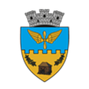 Stema ORAS OTOPENI