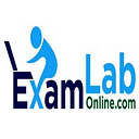 EXAMLAB ONLINE S.R.L.