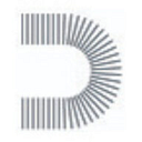 DOMUS DEVELOPMENT S.R.L.