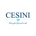 CESINI FASHION ACCESSORIES S.R.L.