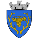 Stema ORASUL MIERCUREA SIBIULUI