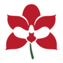 CATTLEYA WAREHOUSE S.R.L.
