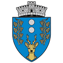 Stema COMUNA ADĂMUŞ