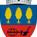 Stema COMUNA GĂLĂNEŞTI