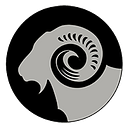 BLACK SHEEP TATTOO S.R.L.