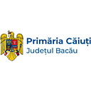 Stema COMUNA CĂIUŢI