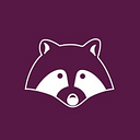 SECURITY RACCOON INTERNATIONAL S.R.L.
