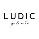 PROIECT LUDIC S.R.L.