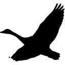FREEMOVEMENT S.R.L.