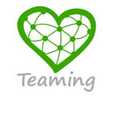 TEAMING S.R.L.