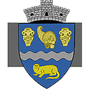 Stema COMUNA VIDRA