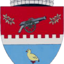 Stema COMUNA TUNARI