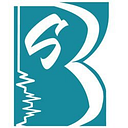 B&S REGENERATION S.R.L.