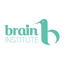 BRAIN INSTITUTE S.R.L.