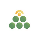 FOREST ENERGY S.R.L.
