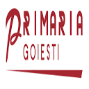 Stema COMUNA GOIESTI