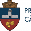 Stema COMUNA CÂLNIC