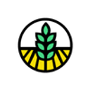 WEST CO IMPEX SRL