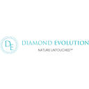 DIAMOND EVOLUTION S.R.L.