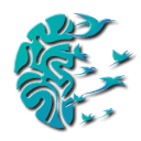 PSIHOWEB S.R.L.