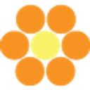 DESIGN VITAMIN S.R.L.