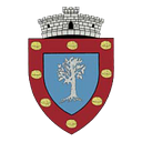 Stema COMUNA NUCI