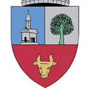Stema COMUNA SĂLCIUA