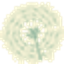 ALPACA SOVALEX S.R.L.