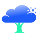 CLOUD FOREST INFRASTRUCTURE S.R.L.
