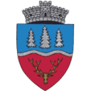 Stema COMUNA IBANESTI