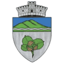 Stema Comuna Alunis
