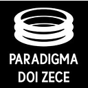PARADIGMA DOI ZECE S.R.L.