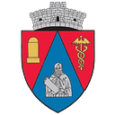 Stema COMUNA MĂXINENI