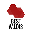 BEST VALOIS S.R.L.