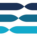 NETHEX CARE S.R.L.