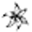 CATALEYA GROUP S.R.L.