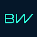 BORGWARNER IT SERVICES S.R.L.