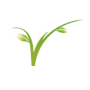 VEGAROMA S.R.L.