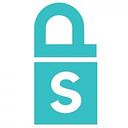 DVI SECURITY S.R.L.