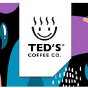 TEDS TIMISOARA S.R.L.