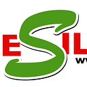 RIF SILICON S.R.L.