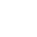 NERVERIFT S.R.L.