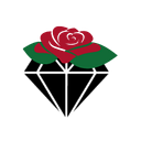DIAMOND TRAVEL S.R.L.