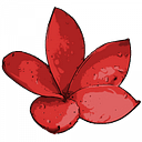 PLUMERIA S.R.L.