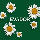 EVADOR CONSULTING S.R.L.